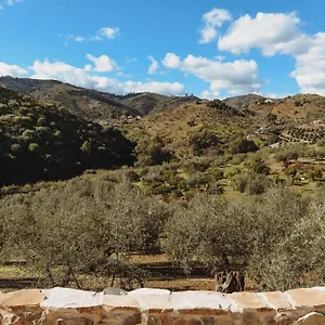 Elements , Comares Spanje